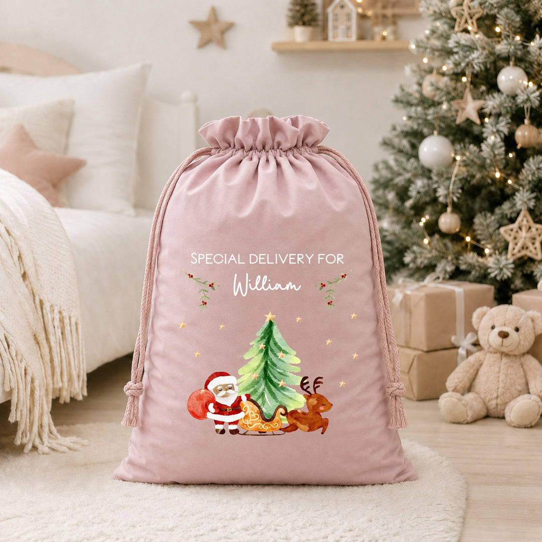 Personalised Santa Sleigh Special Delivery Santa Sack or Stocking