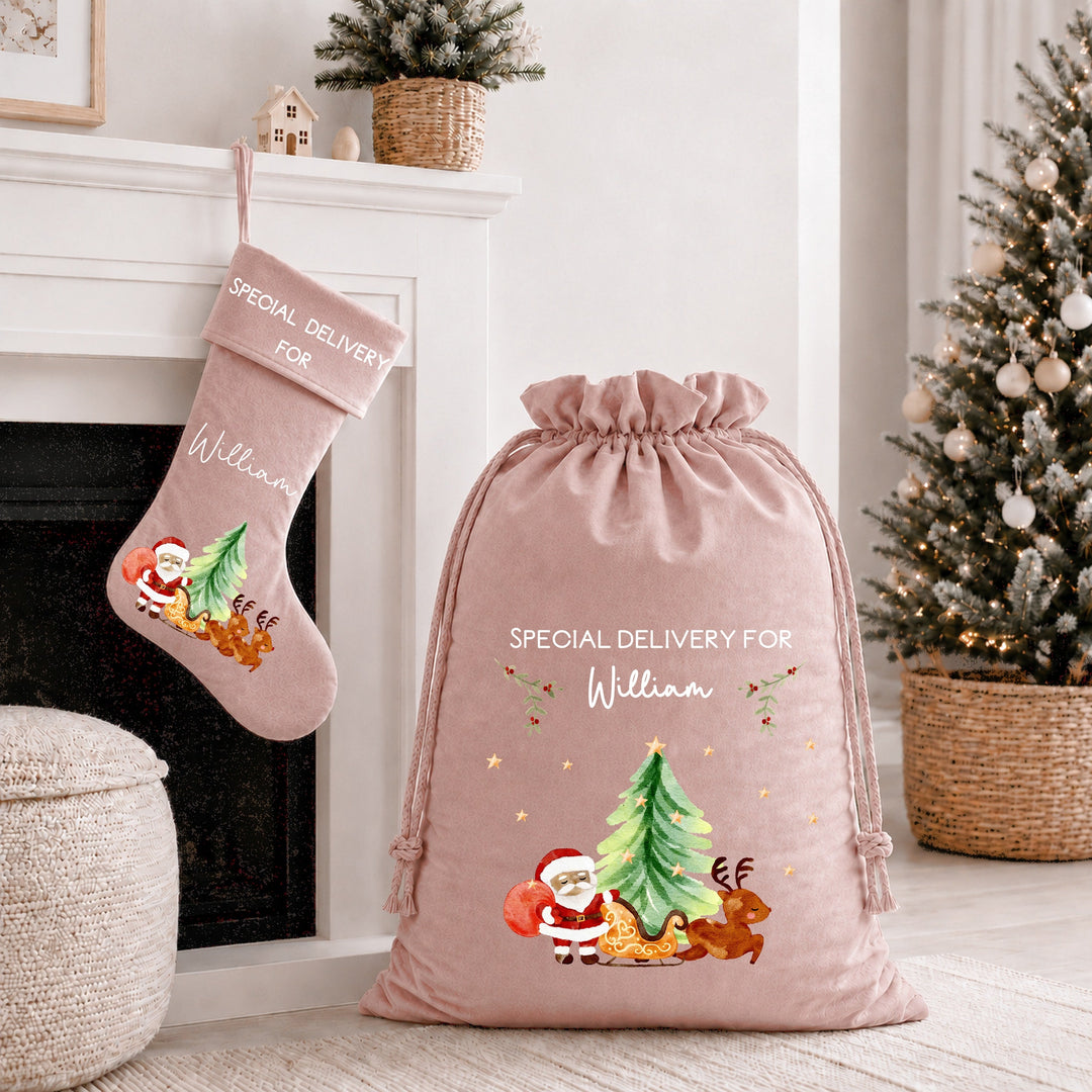 Personalised Santa Sleigh Special Delivery Santa Sack or Stocking