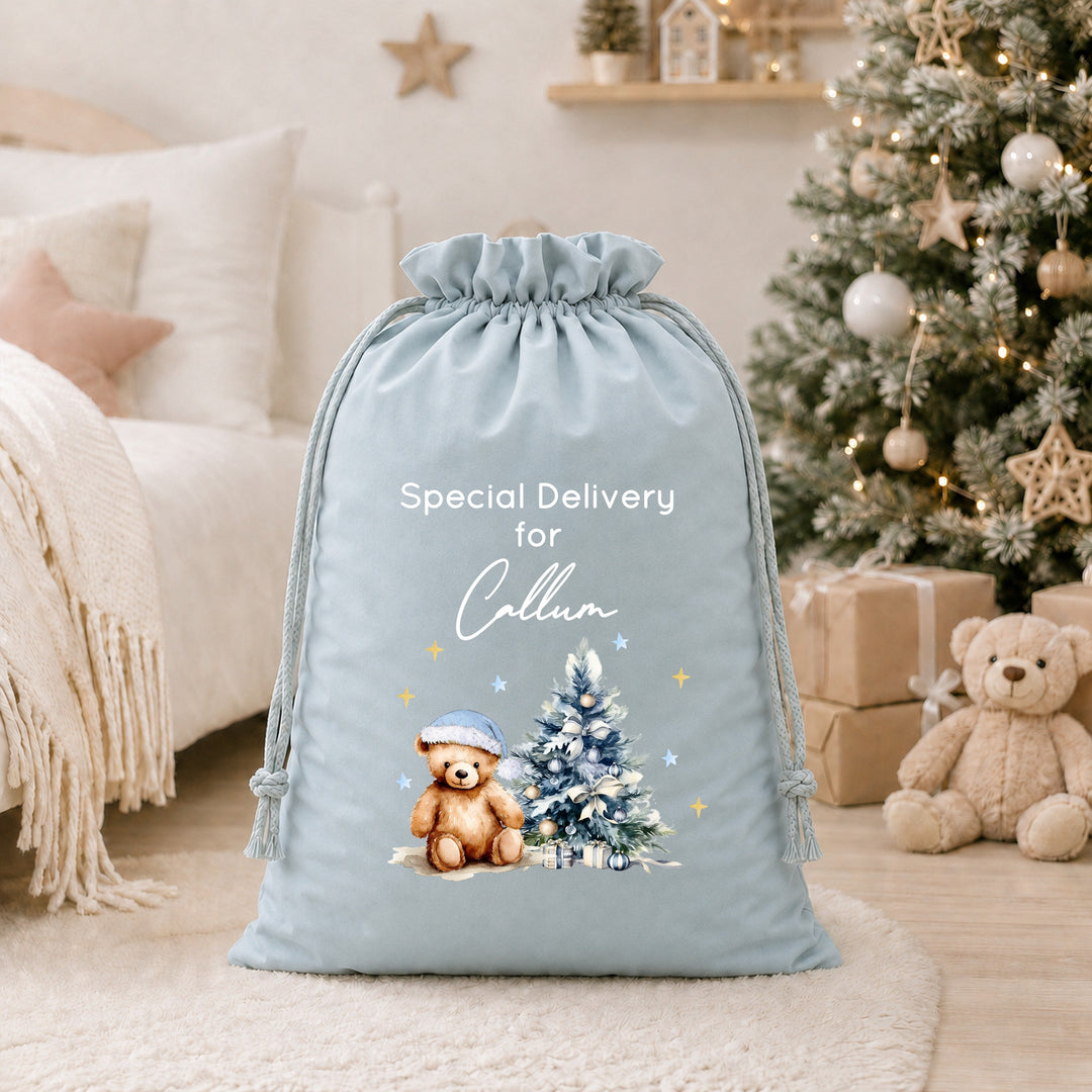 Personalised Blue Teddy Christmas Tree Santa Sack or Stocking