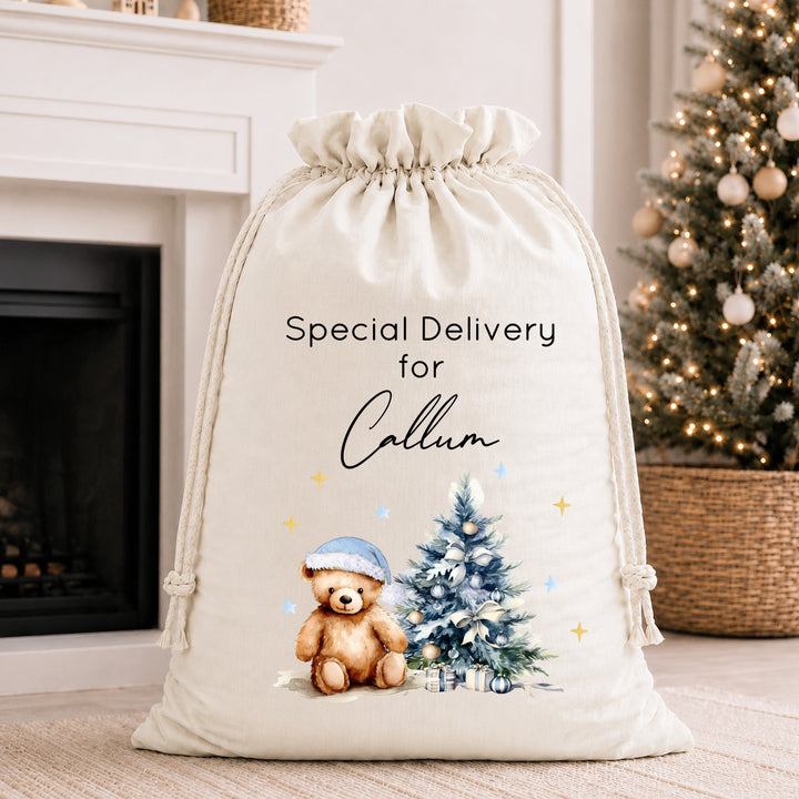 Personalised Blue Teddy Christmas Tree Santa Sack or Stocking